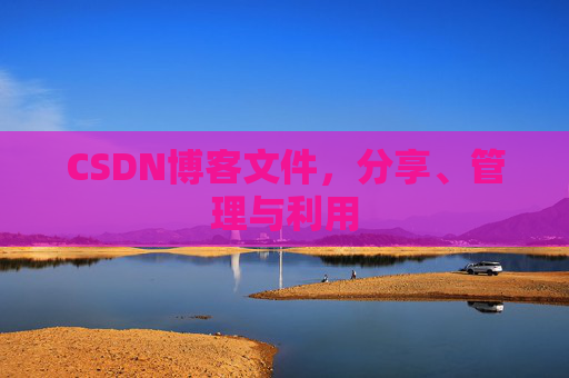 CSDN博客文件，分享、管理与利用